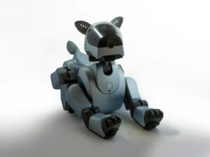 These are the cities that have robot dogs in their patrols now.