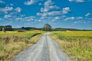 Are Artificial Intelligence Doctors Capable of Solving the Problem of Healthcare in Rural Areas?