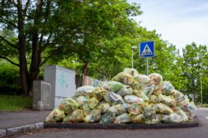 Using Artificial Intelligence to Find Solutions to the Problem of Food Waste