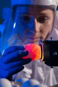In the field of bioprinting 3D-printed organs are now being tested in clinical settings.