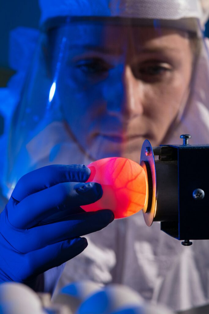 In the field of bioprinting 3D-printed organs are now being tested in clinical settings.